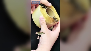 Băng cách nhiệt chống thấm | Niêm phong mạnh mẽ và ứng dụng dễ dàng